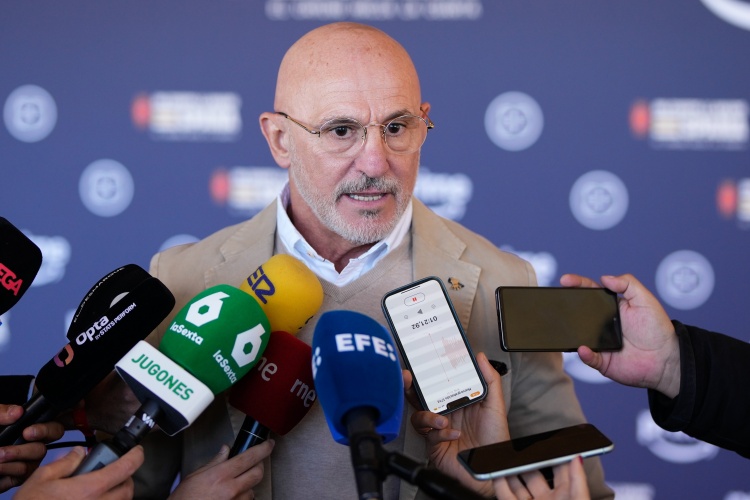 德拉富恩特详解双后腰兼容性 罗德里苏维门迪可共存