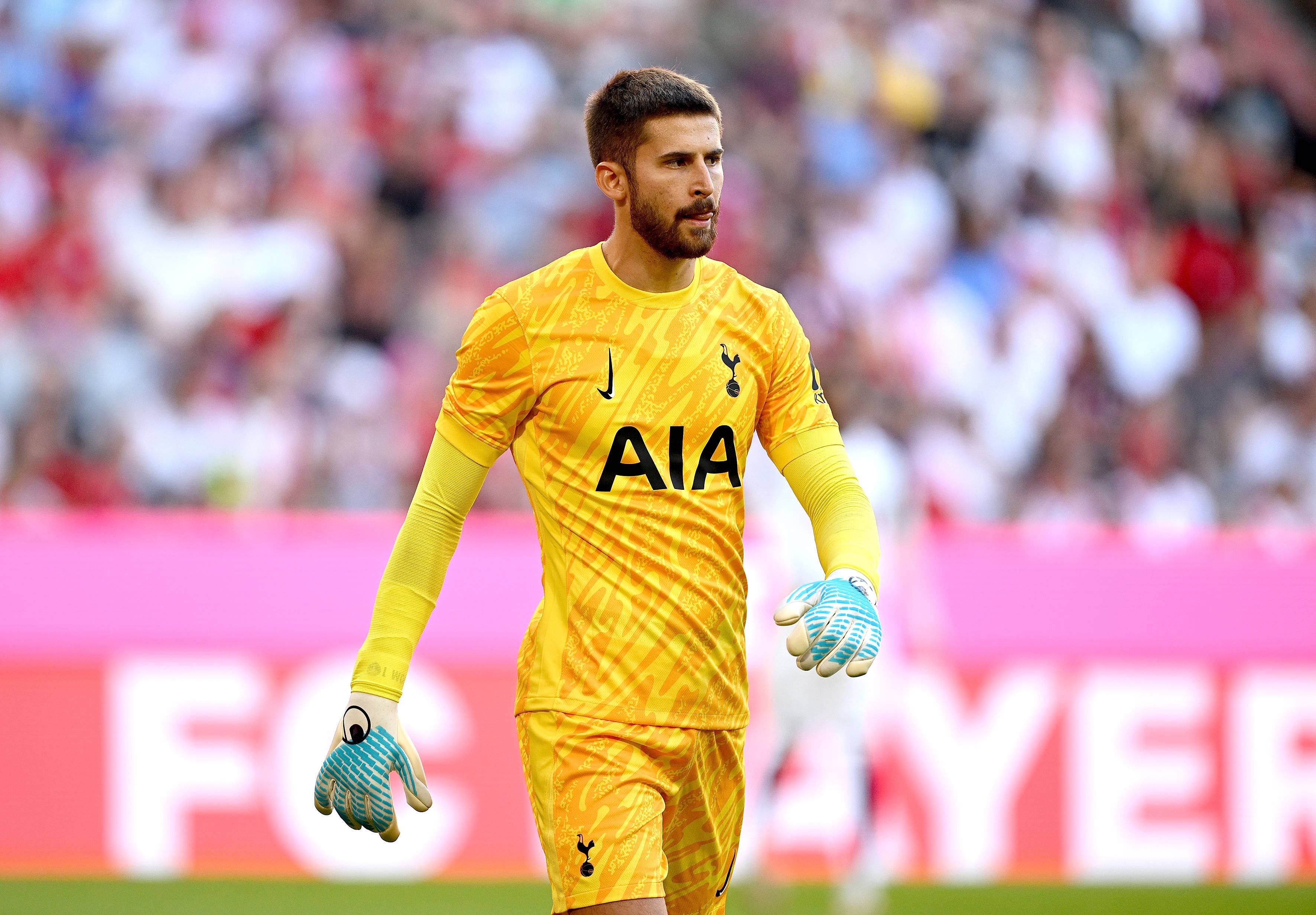 维卡里奥忍痛数月终接受疝气手术 热刺门将空窗期紧急处理伤病