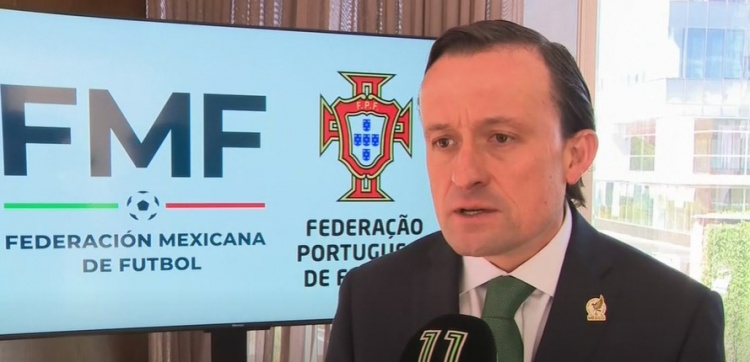 葡足协主席直言世界杯争冠 黄金一代需细节制胜