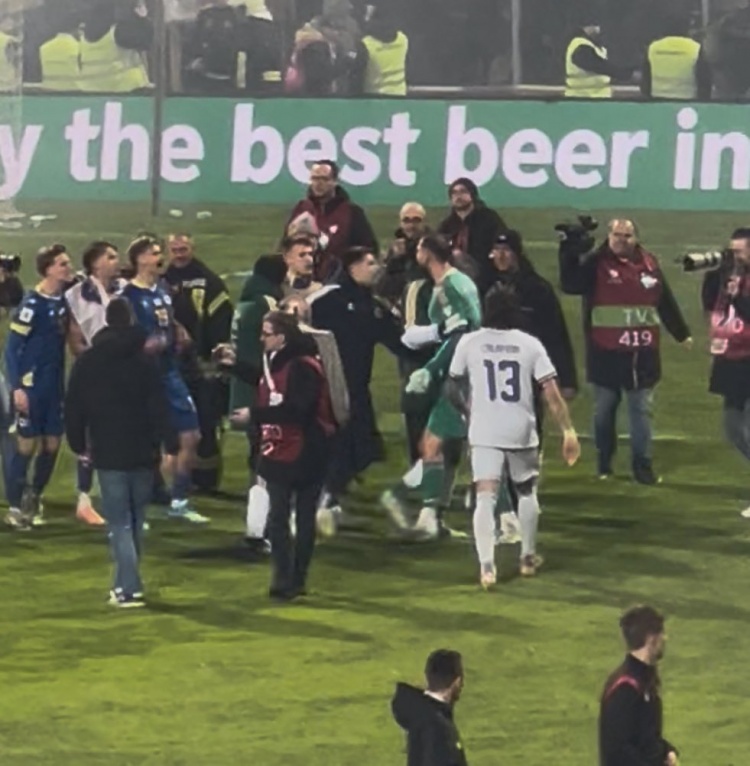 意大利点球出局无缘世界杯 多纳鲁马赛后与波黑球员冲突