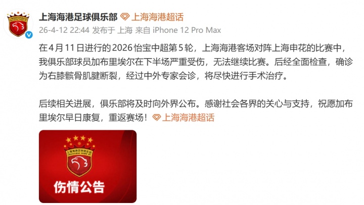 海港官方确认加布里埃尔髌腱断裂 德比战无对抗重伤 海港官方确认加布里埃尔髌腱断裂 德比战无对抗重伤