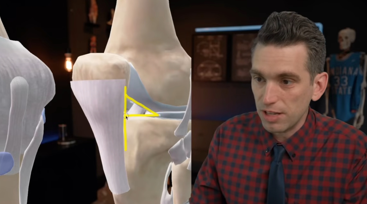 东契奇库里膝盖渗血真相:地板擦伤疤痕撕裂 非药水 东契奇库里膝盖渗血真相:地板擦伤疤痕撕裂 非药水