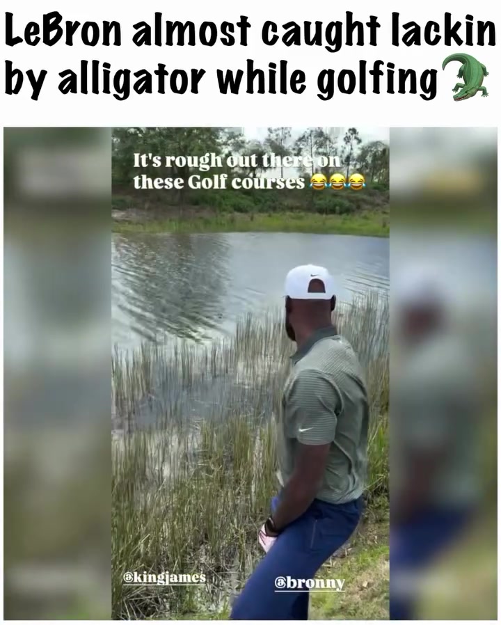 詹姆斯父子高尔夫球场遇鳄鱼 湖人球星冒险捡球 詹姆斯父子高尔夫球场遇鳄鱼 湖人球星冒险捡球