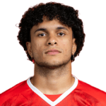 加布里埃尔·席尔瓦