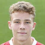 尼基·特维斯克