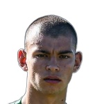 蒂亚戈·纳韦尔·埃斯皮诺萨·多瓦特