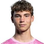 阿尔格斯范登德里斯切